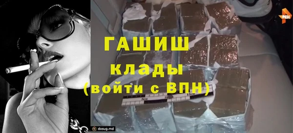 индика Касимов