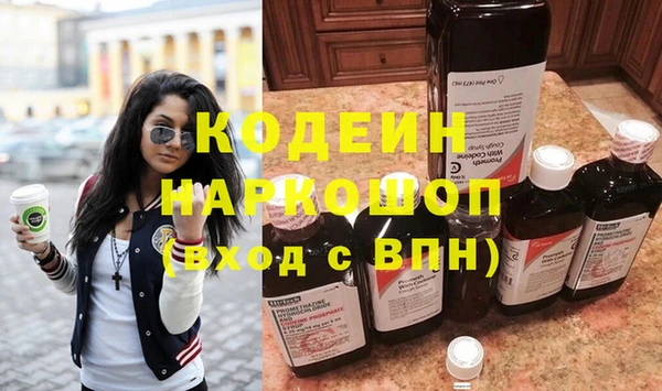 индика Касимов