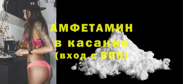 индика Касимов