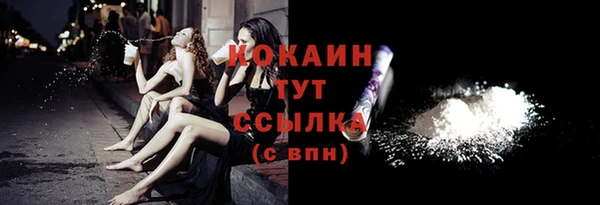 индика Касимов
