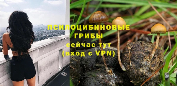 индика Касимов