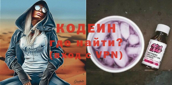 индика Касимов