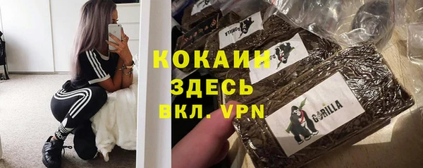 индика Касимов