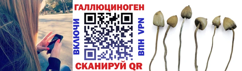 Купить  Вольск  Галлюциногенные грибы прущие грибы 